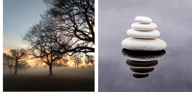 A picture of calming trees and stones in South Harrow